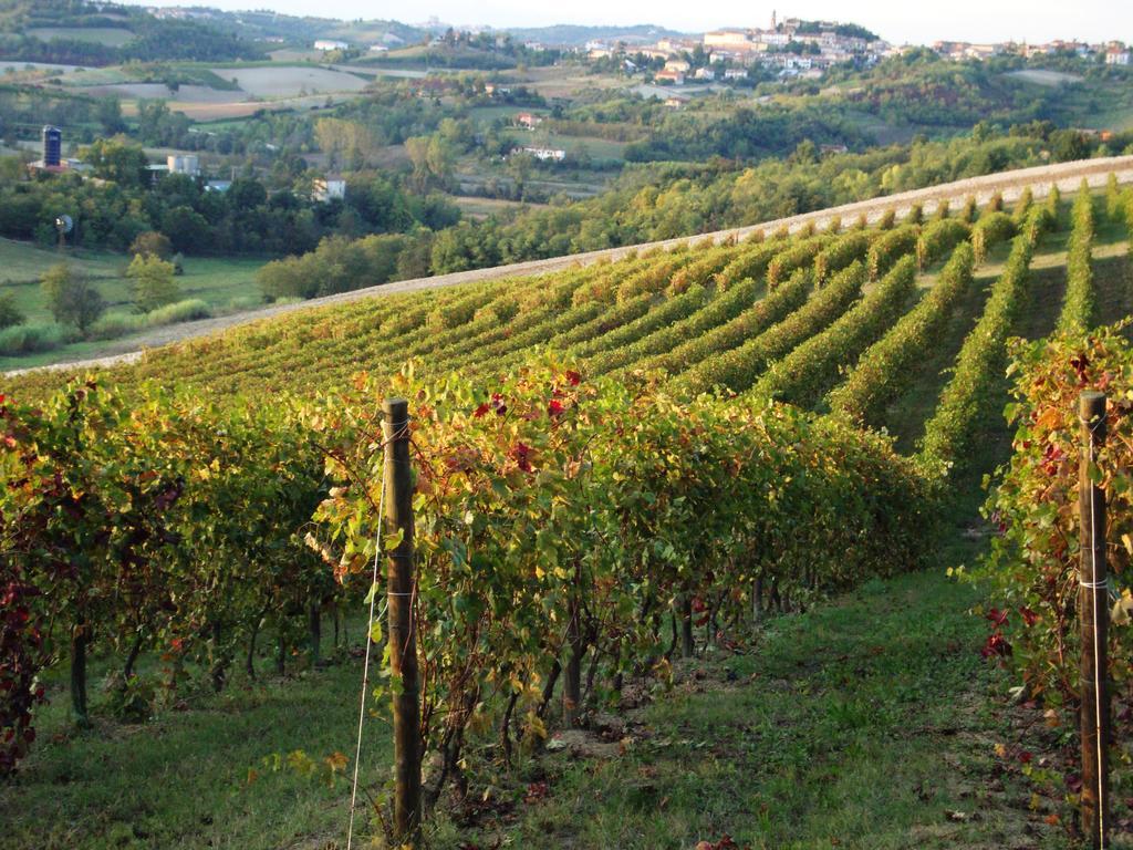 La Commedia Della Pentola Guest House Lu (Piedmont) ภายนอก รูปภาพ